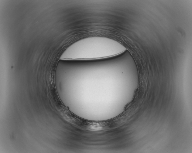 X0000111370091200907101026