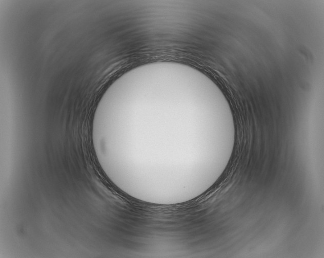 X0000111370092200907101026