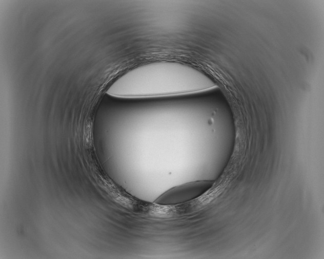 X0000111370096200907101026