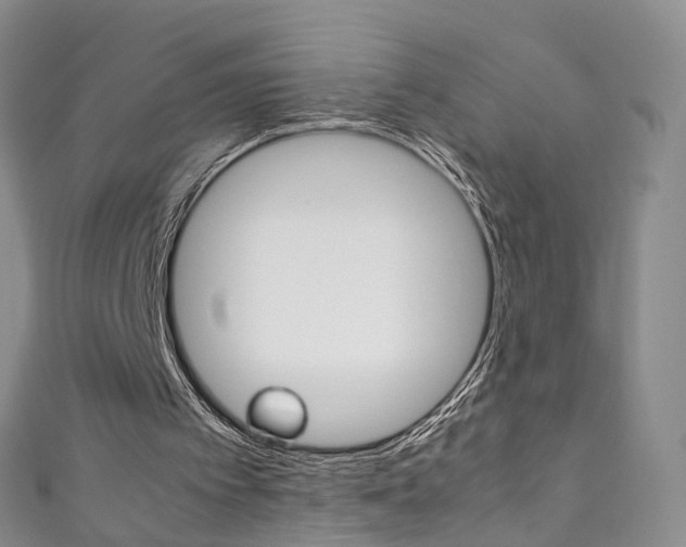 X0000111370097200907101025