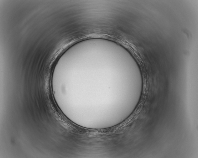 X0000111370098200907101025