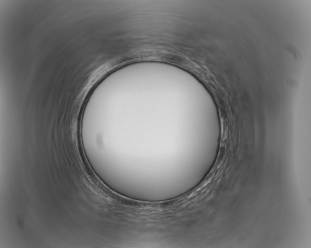 X0000111370099200907101025