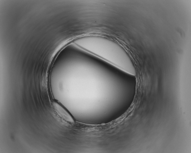 X0000111370100200907101025
