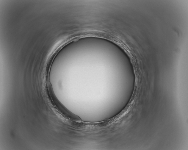 X0000111370101200907101025