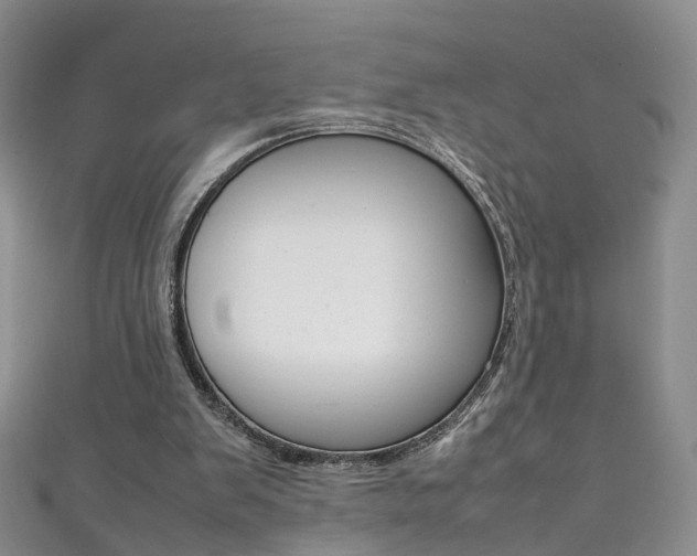 X0000111370103200907101025
