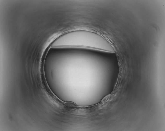 X0000111370104200907101025