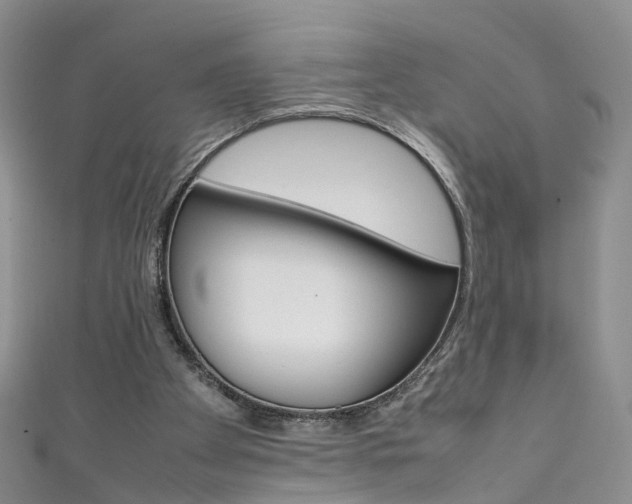 X0000111370105200907101025