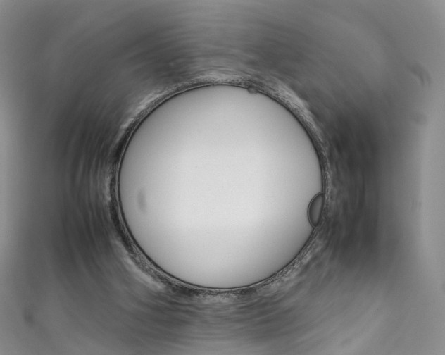 X0000111370106200907101025