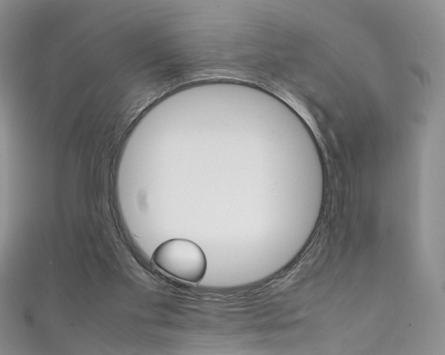 X0000111370109200907101025