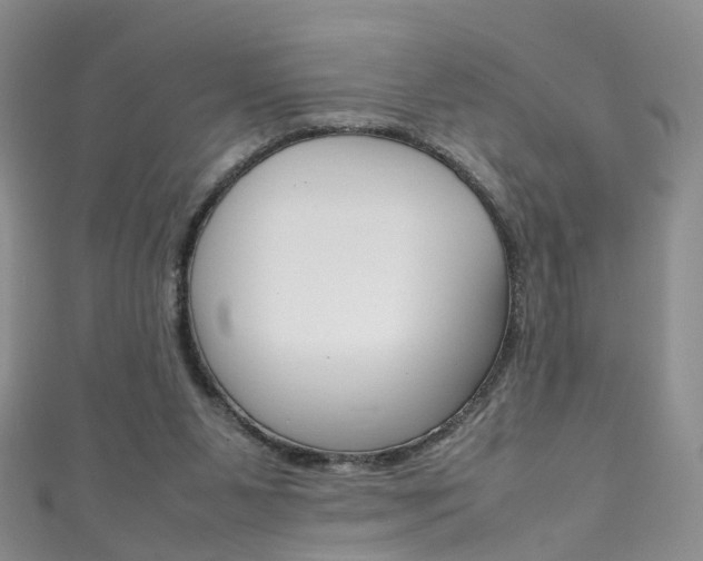 X0000111370111200907101025
