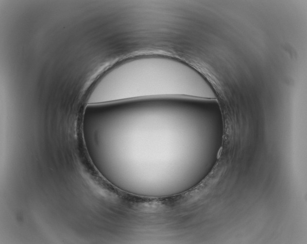 X0000111370112200907101025