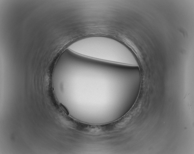 X0000111370113200907101025