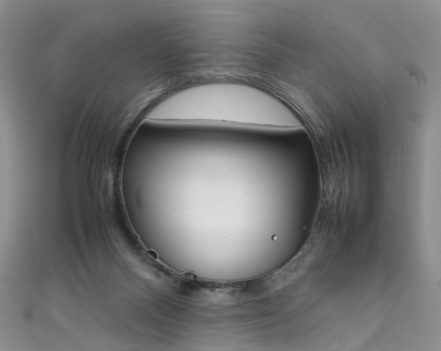 X0000111370120200907101025