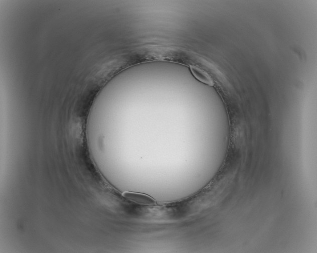 X0000111370121200907101025