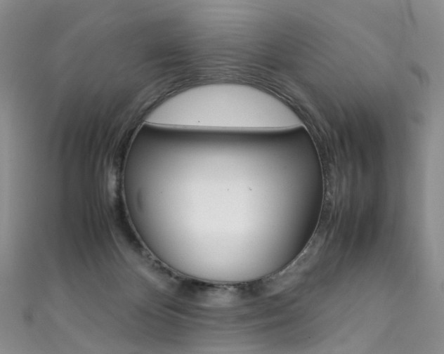 X0000111370124200907101025