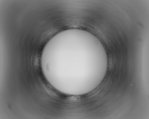 X0000111370126200907101025