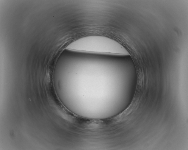 X0000111370128200907101025