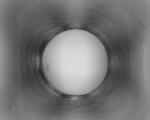 X0000111370130200907101025