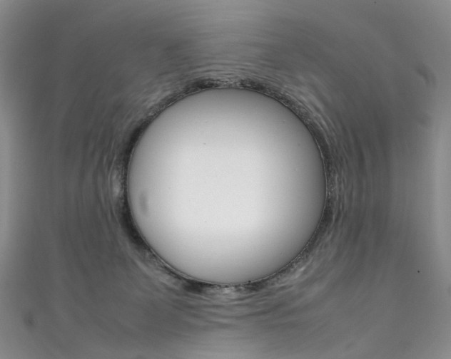 X0000111370131200907101025