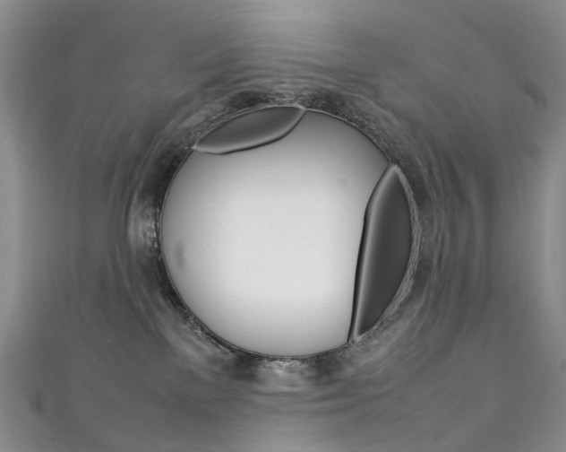 X0000111370137200907101025