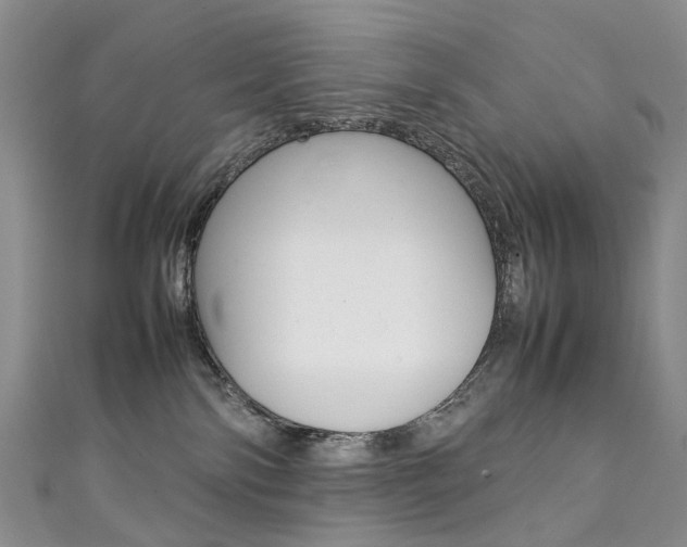 X0000111370138200907101025