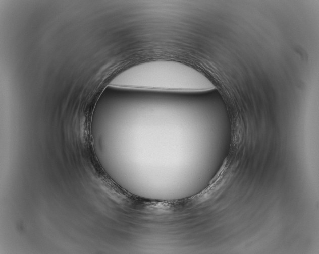 X0000111370140200907101025