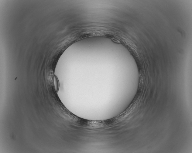 X0000111370141200907101025