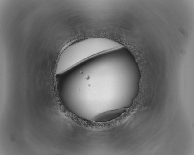 X0000111370144200907101025