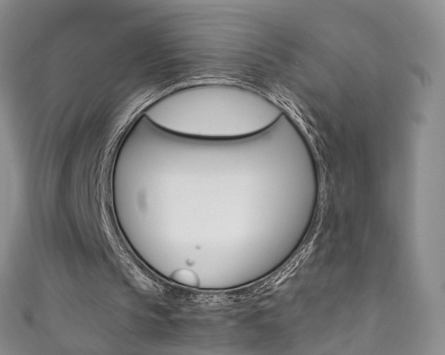 X0000111370145200907101024
