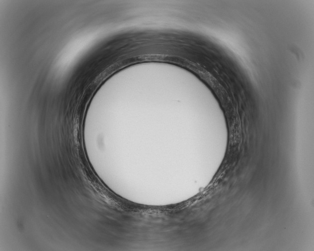X0000111370146200907101024