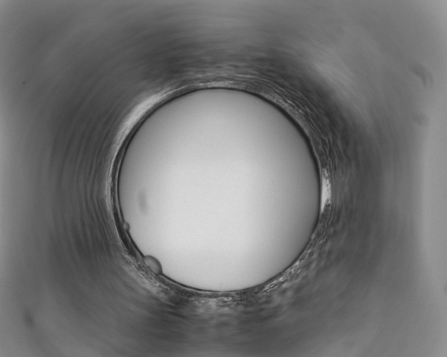 X0000111370147200907101024