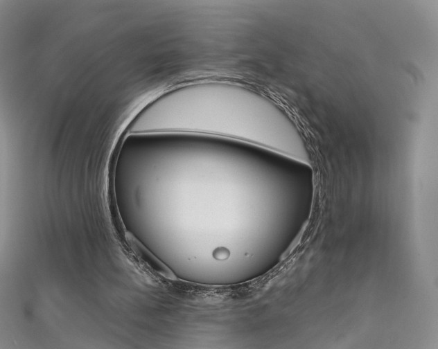 X0000111370148200907101024