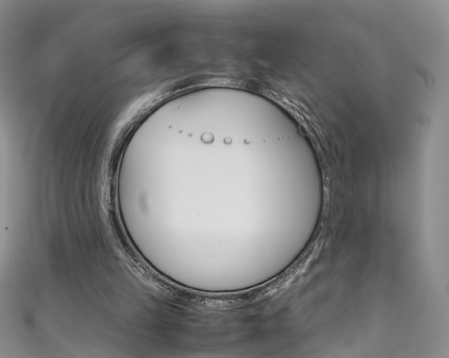 X0000111370149200907101024