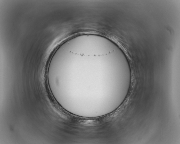 X0000111370151200907101024