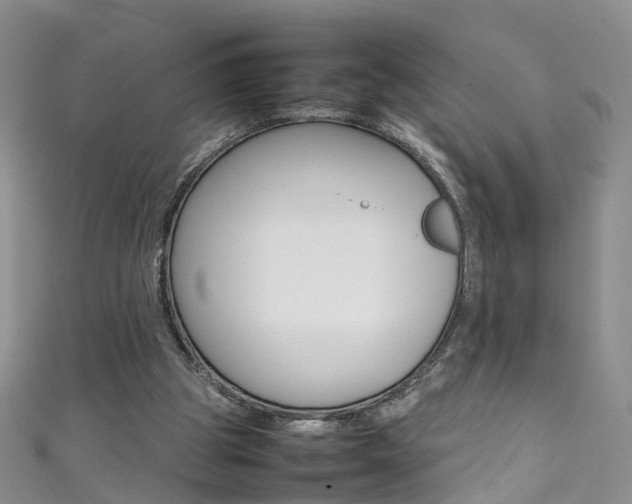 X0000111370153200907101024