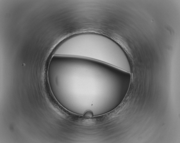 X0000111370156200907101024