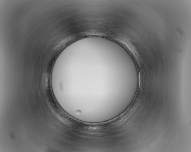 X0000111370157200907101024