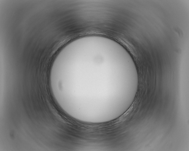 X0000111370158200907101024