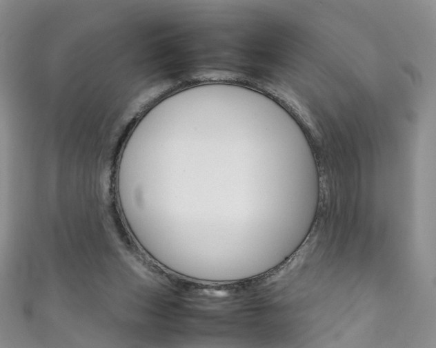 X0000111370159200907101024
