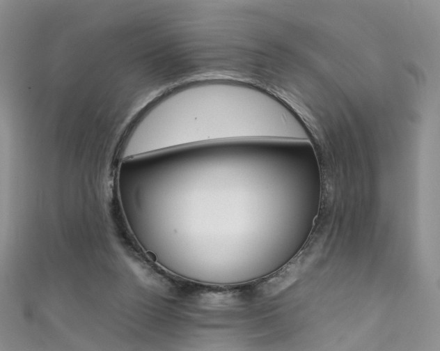 X0000111370160200907101024