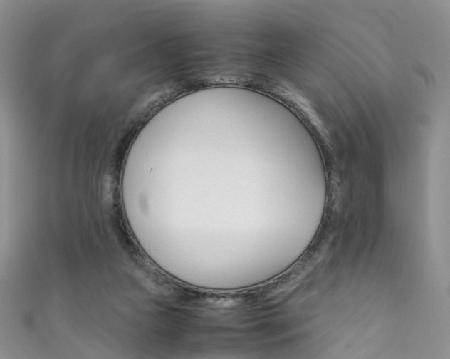 X0000111370161200907101024