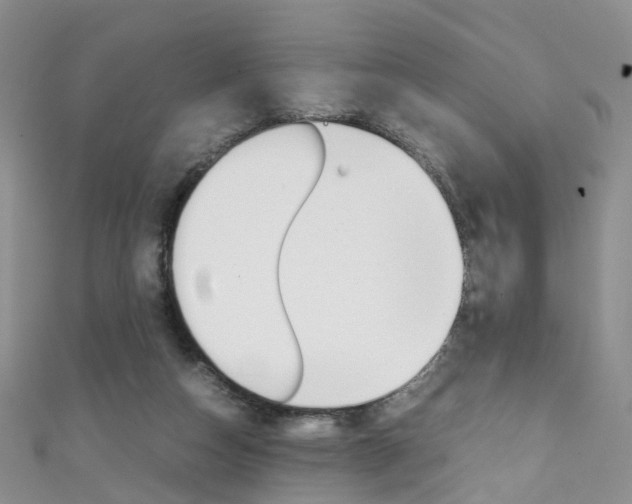 X0000111370162200907101024