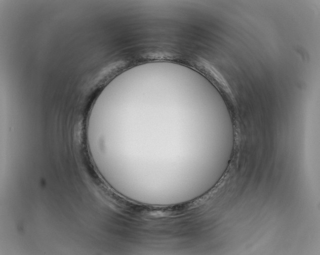X0000111370163200907101024