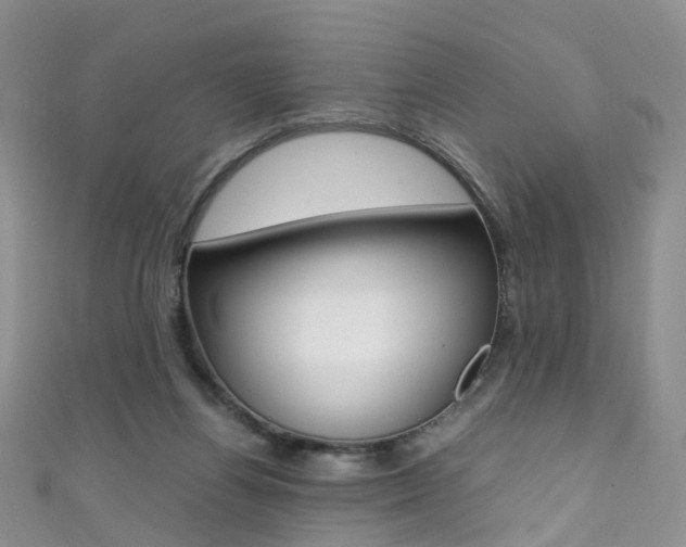 X0000111370164200907101024
