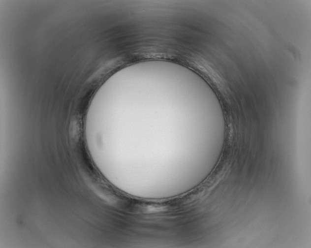 X0000111370165200907101024