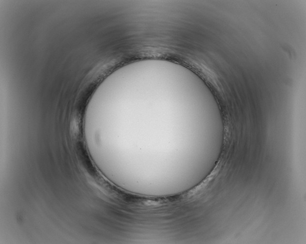 X0000111370166200907101024
