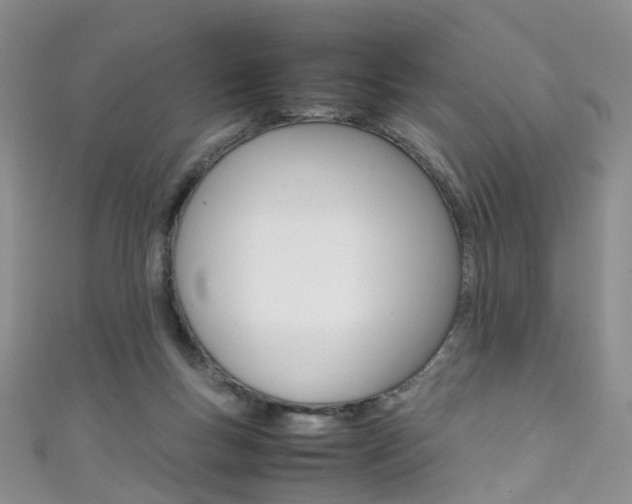 X0000111370167200907101024