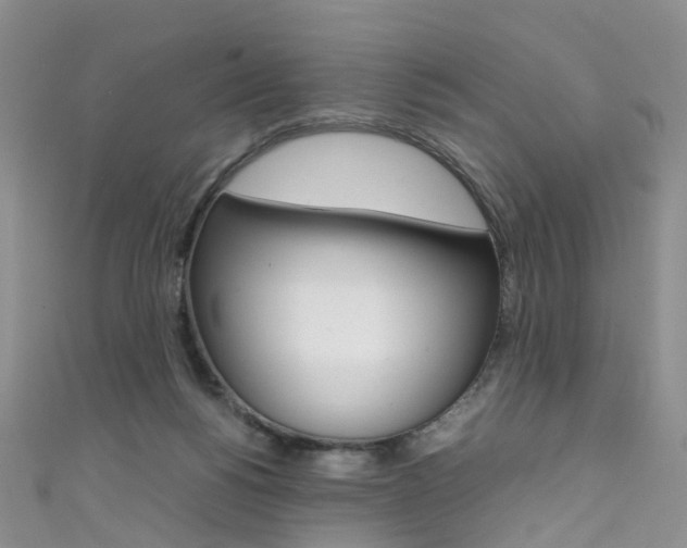 X0000111370168200907101024