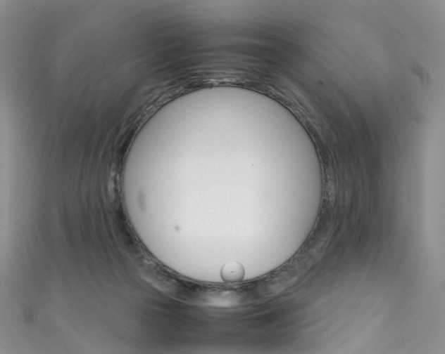 X0000111370169200907101024