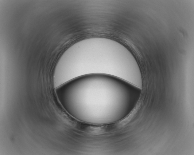 X0000111370170200907101024